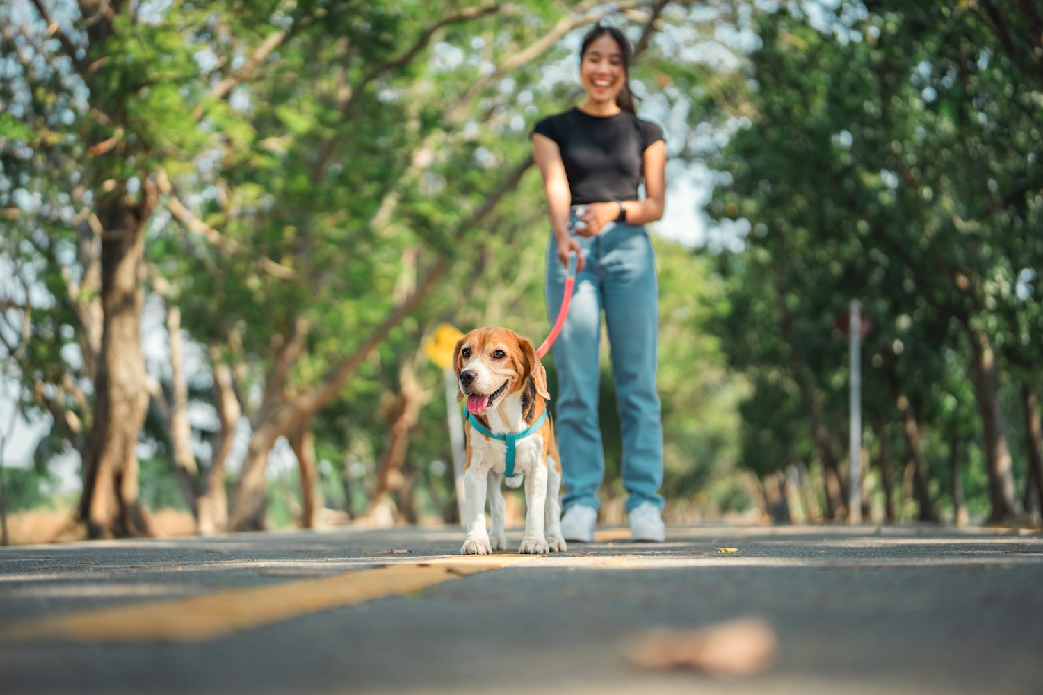 Walk
