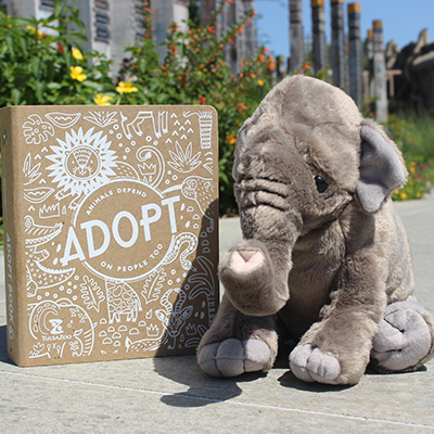Elephant-Stuffy-Square