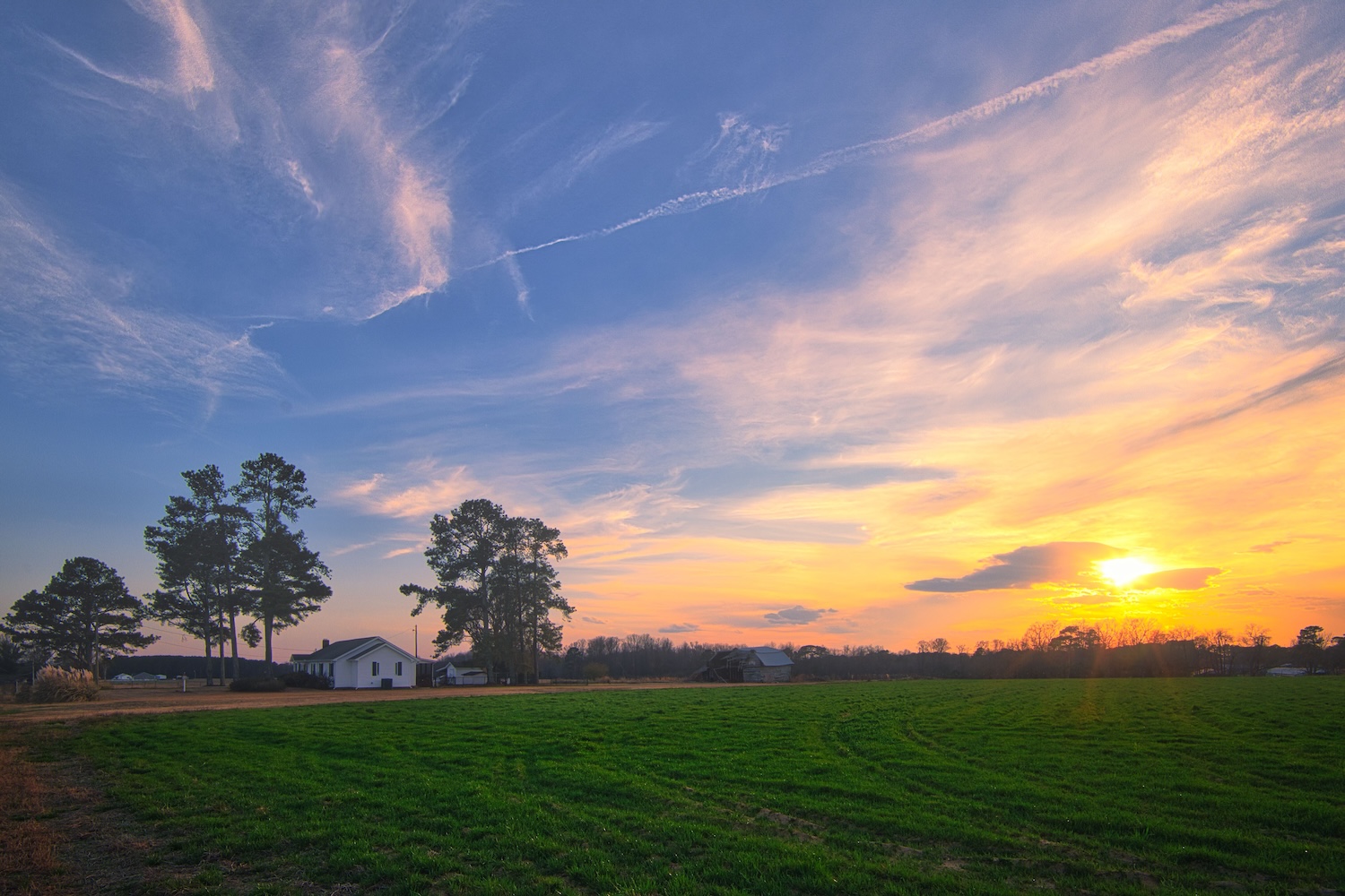 Selma North Carolina near Howell Farm