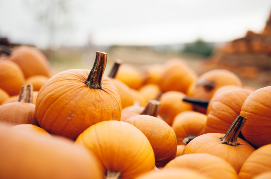 pumpkin event