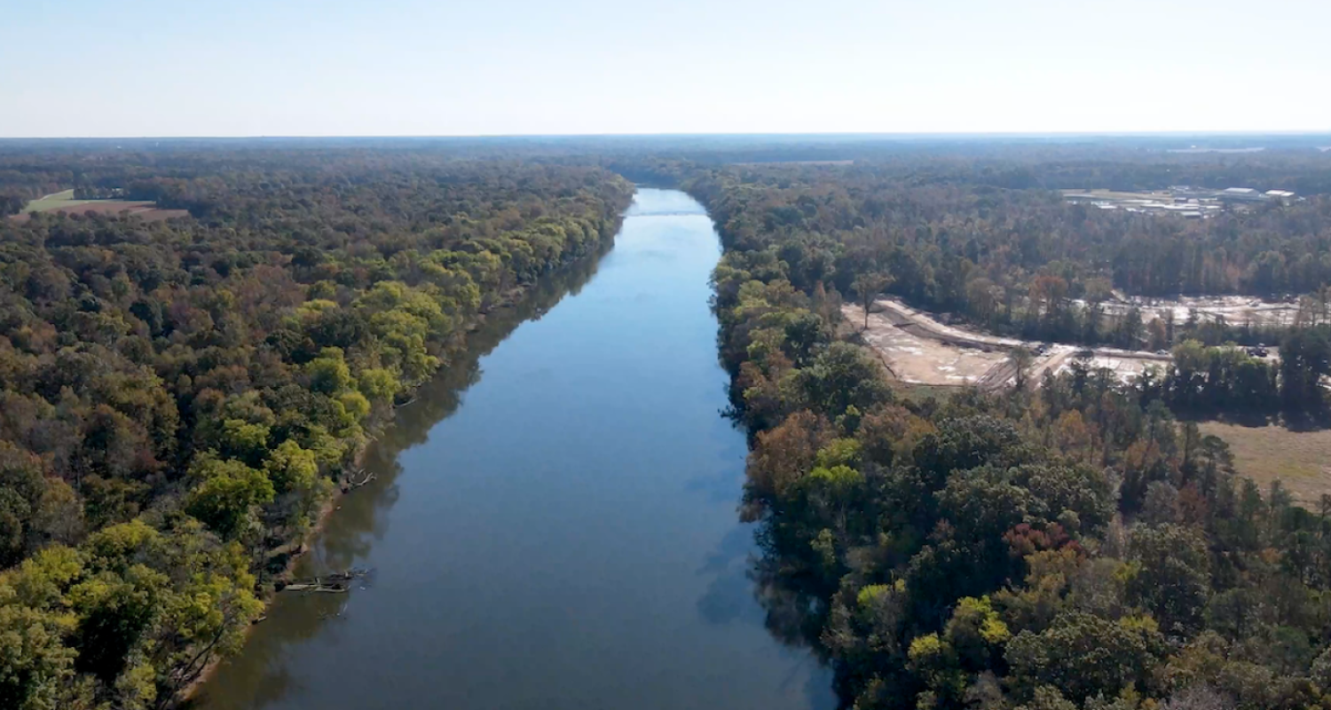 Ann Milton Realty Your Real Estate Resource