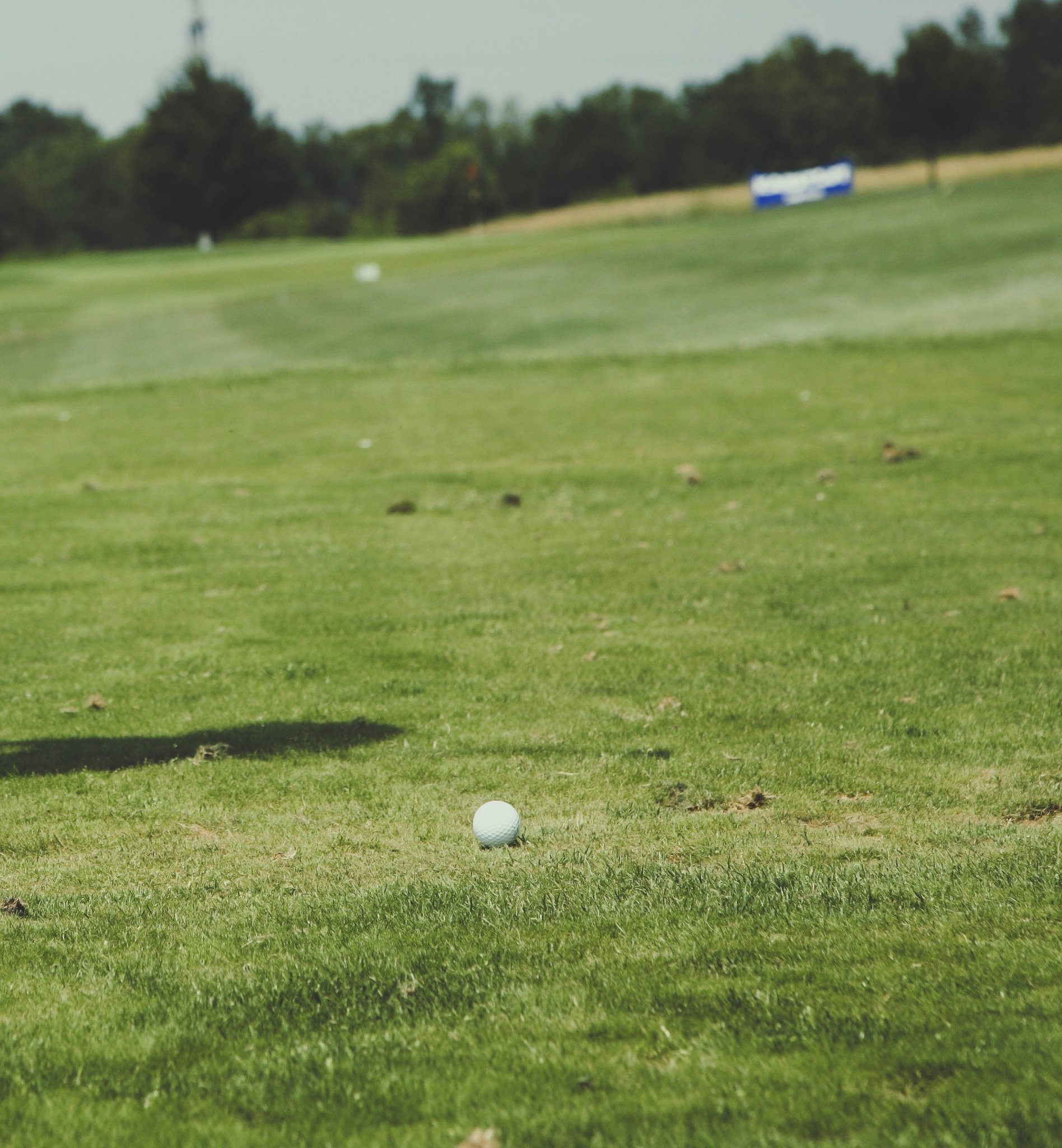 Hammock Creek has a semi-private golf course