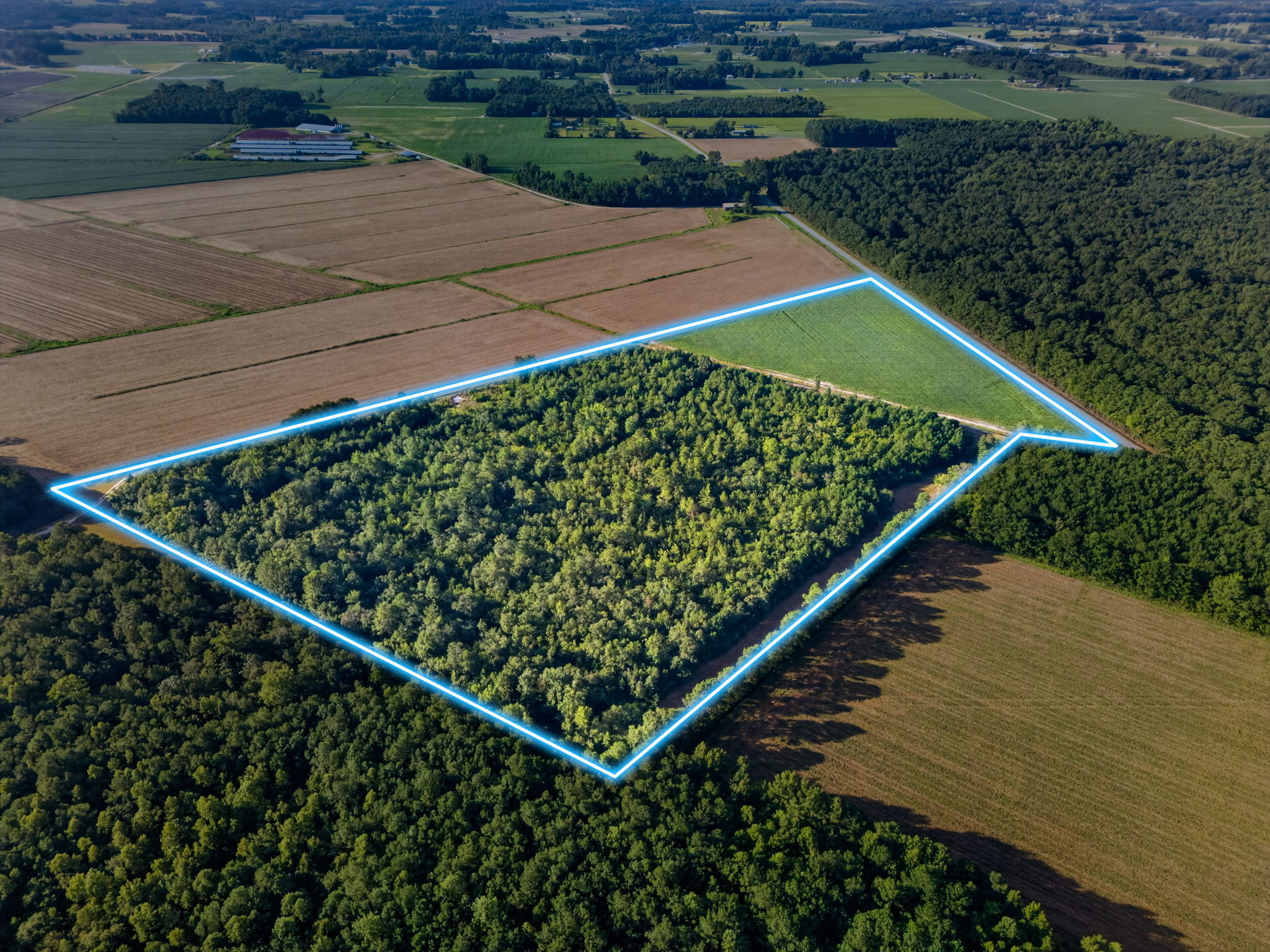Land, pond and trails gallery image 3