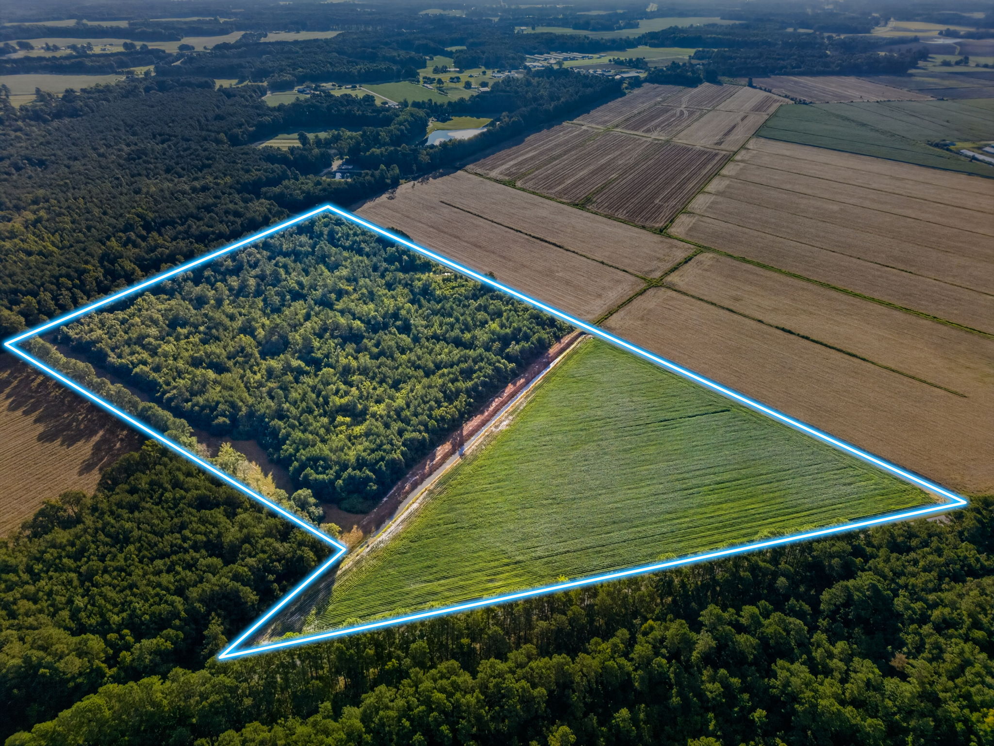 Land, pond and trails gallery image 4