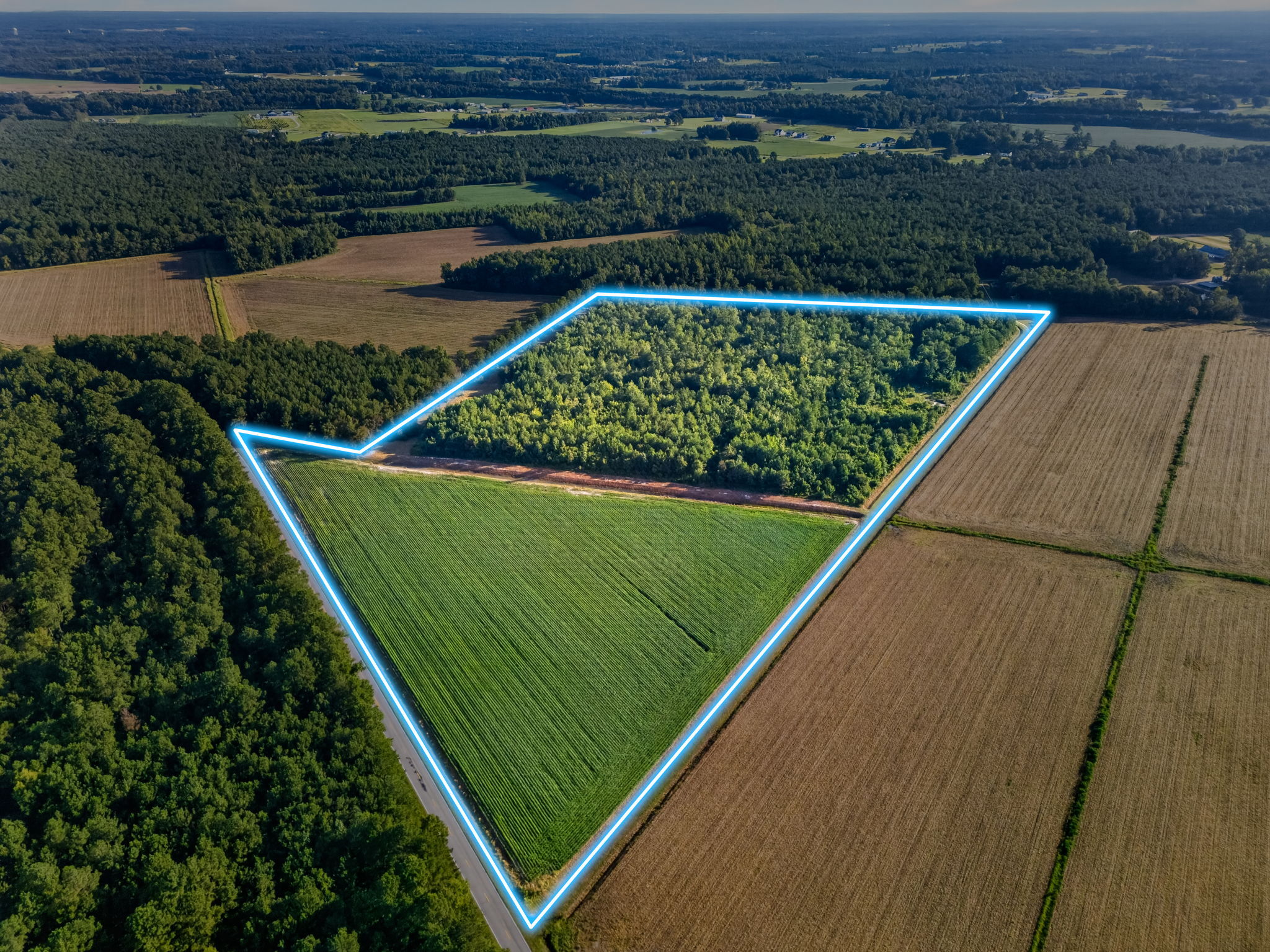 Land, pond and trails gallery image 6