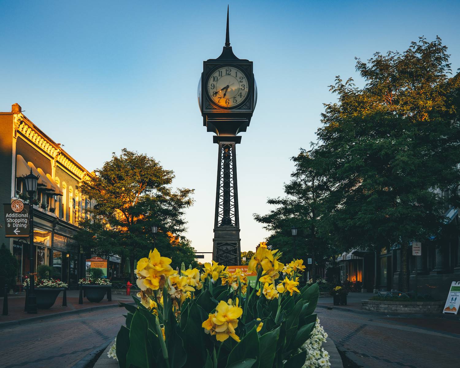 Northville MI Real Estate Home Search