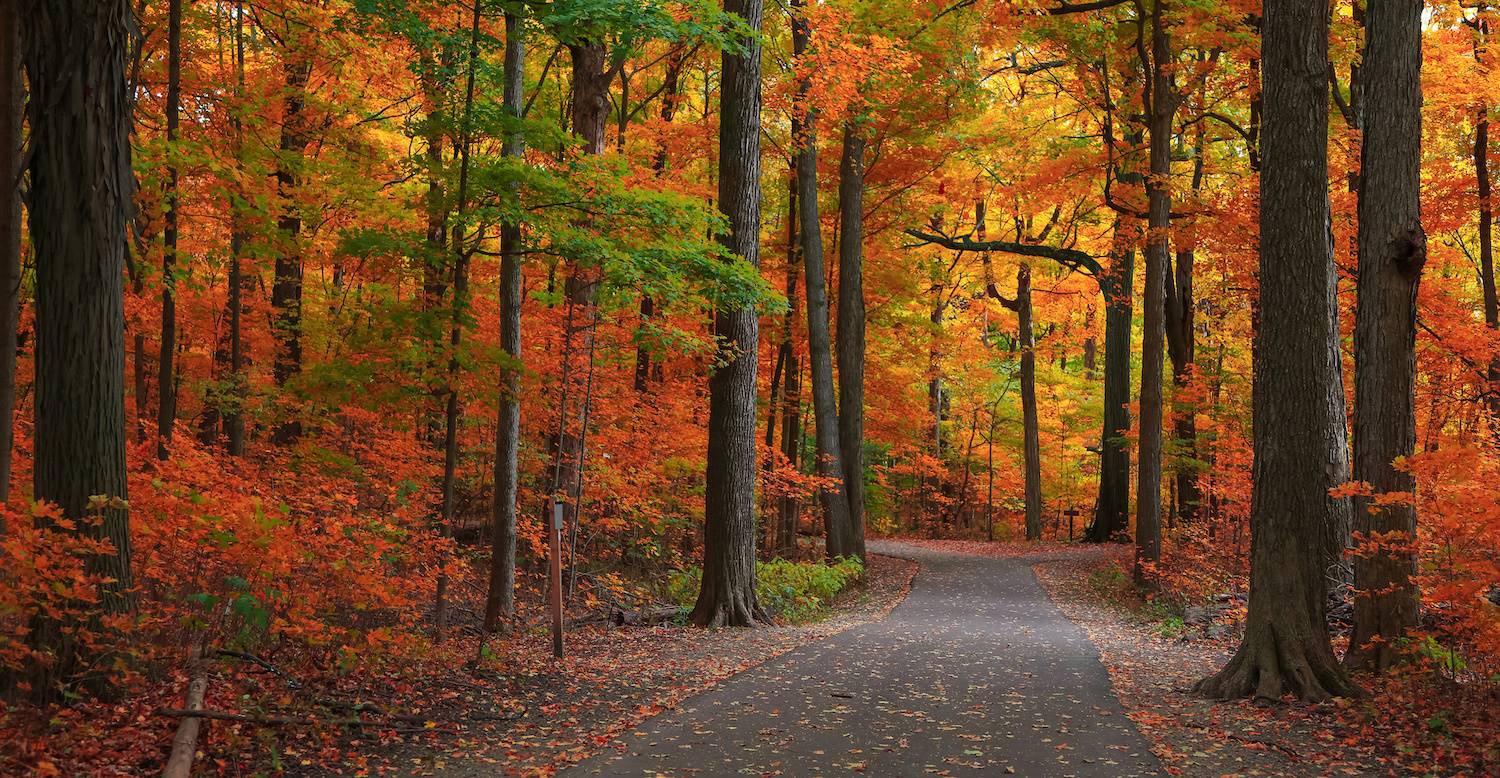 Scio Township, MI A Charming Suburban Town to Call Home