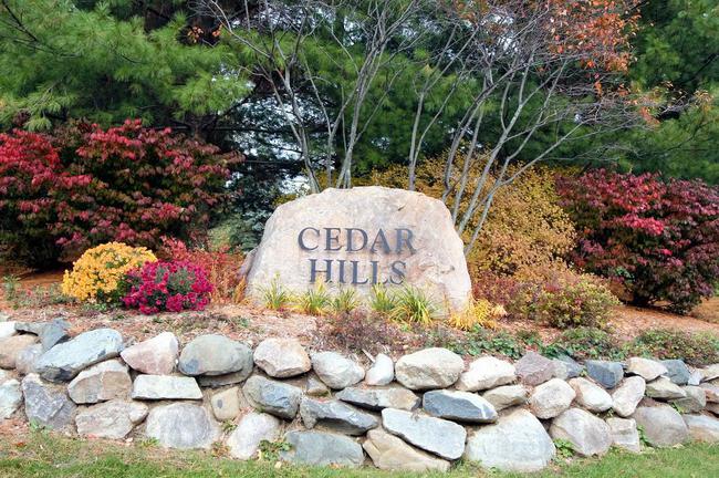 Cedar Hills, Dexter MI Entrance