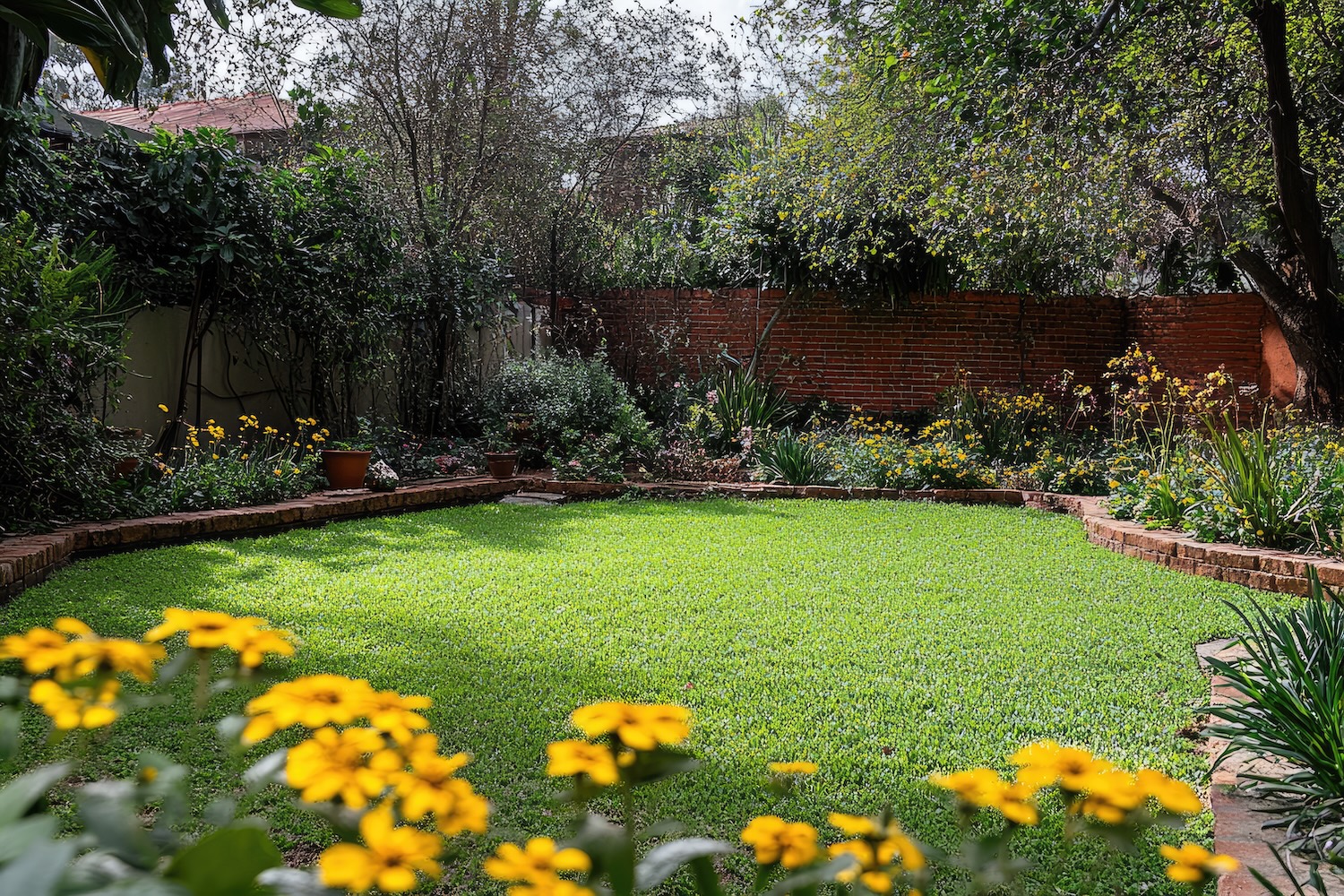 Private Yard
