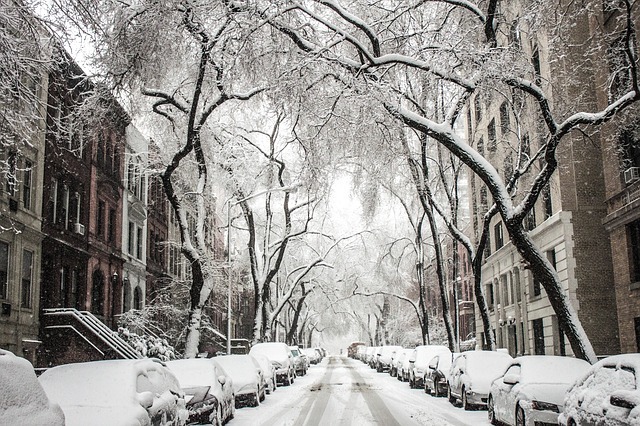 Cobble Hill features tree-lined streets and historic homes