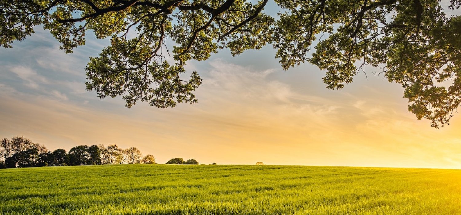 Century 21, Valley Real Estate Your New River Valley Real Estate Resource