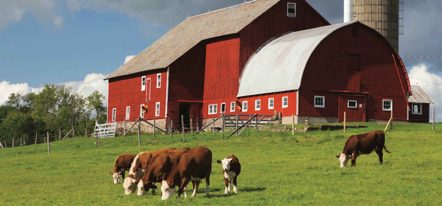 Century 21, Valley Real Estate Your New River Valley Real Estate Resource