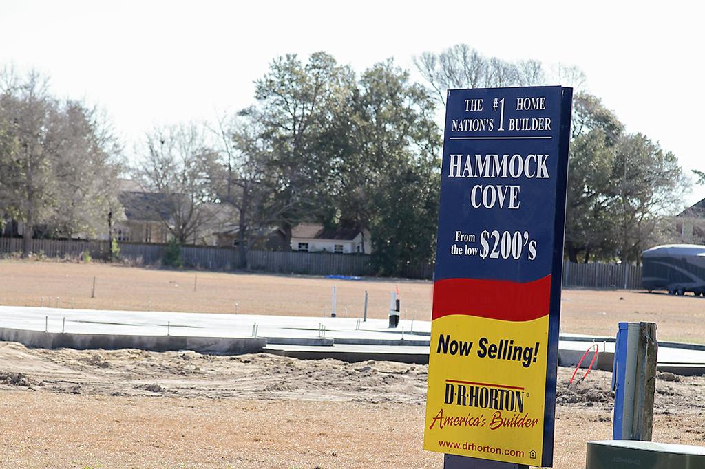 Homes For Sale at Hammock Cove neighborhood in Swansboro NC with new