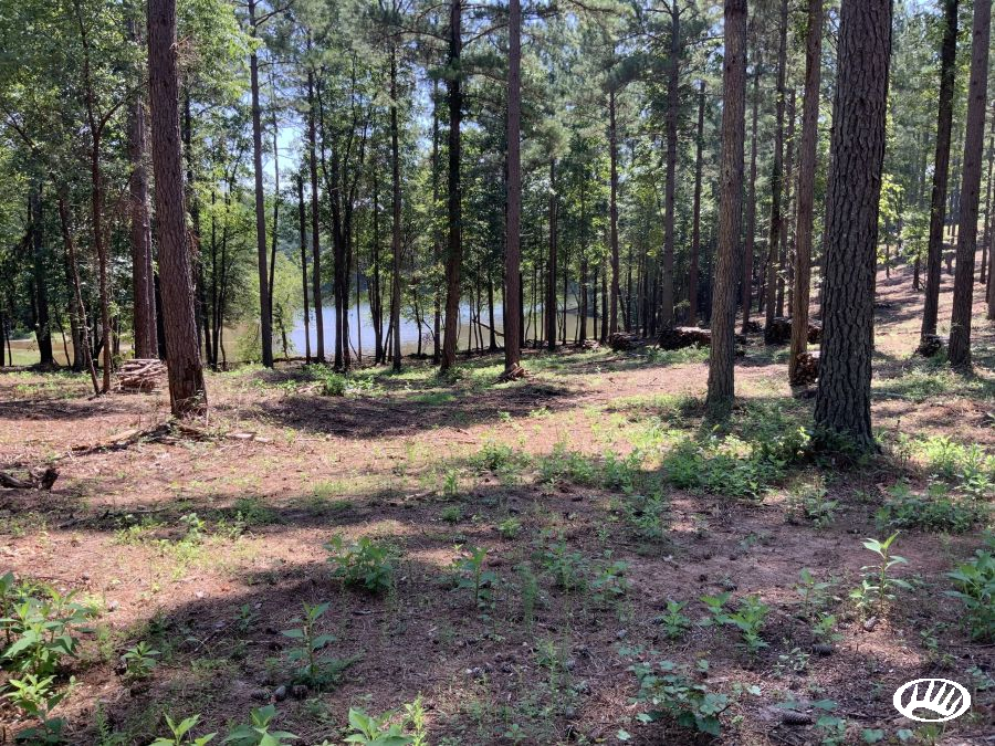 Acreage For sale on Lake Rhodhiss