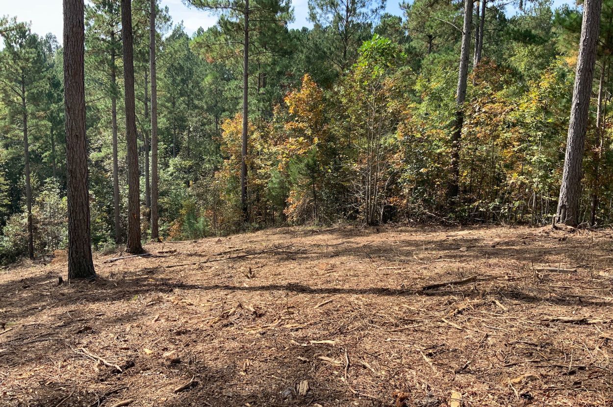 For Sale Large Acreage on Lake Rhodhiss Near Granite Falls, NC