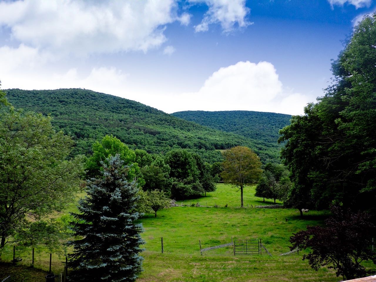 Things to Do in the Catskills Halcottsville, NY