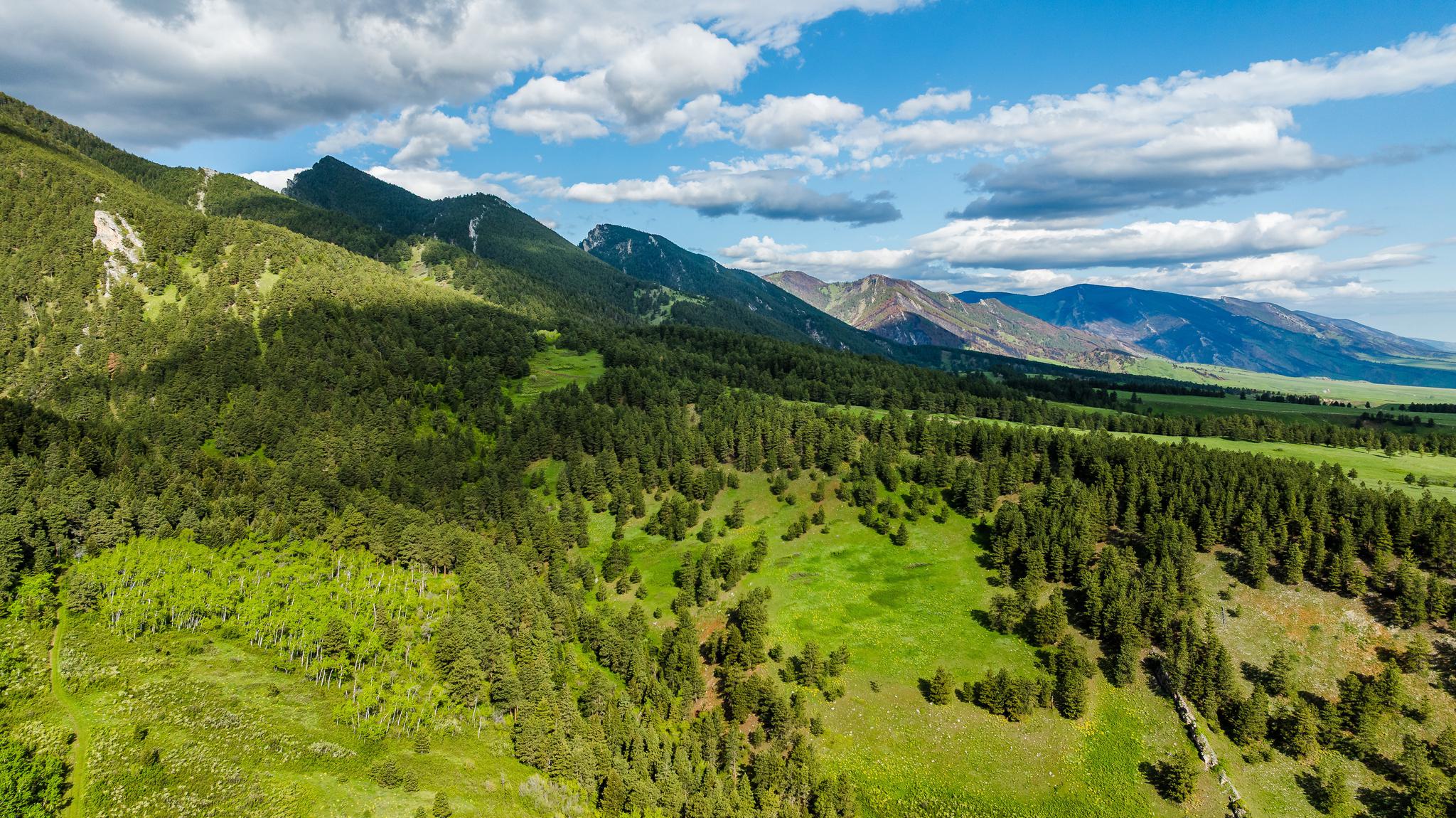 Sanctuary Ranch Big Horn