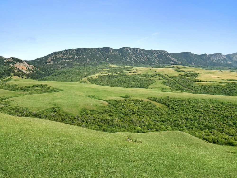 field with mountains in background