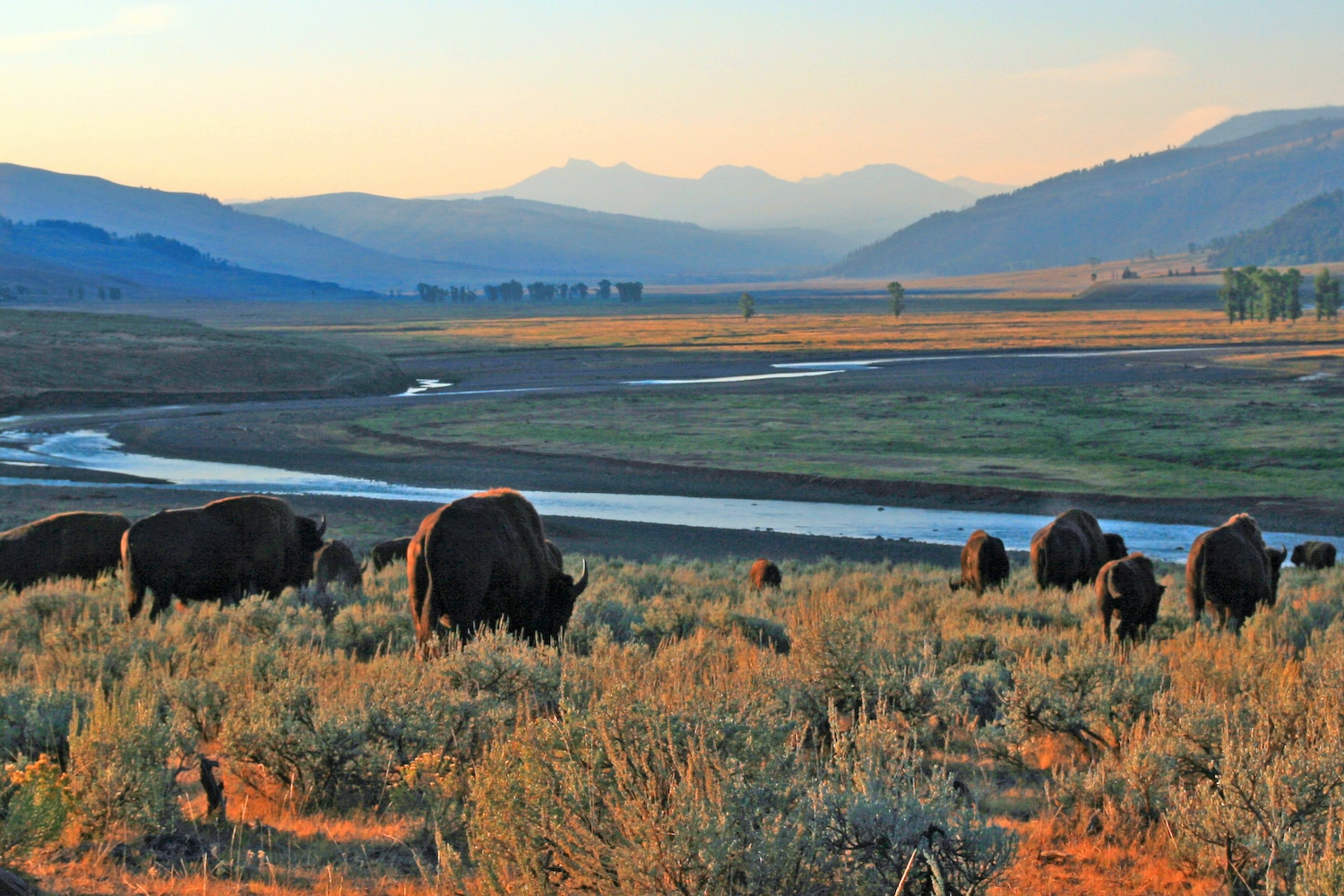 Ten Reasons Why People Love Living in Wyoming