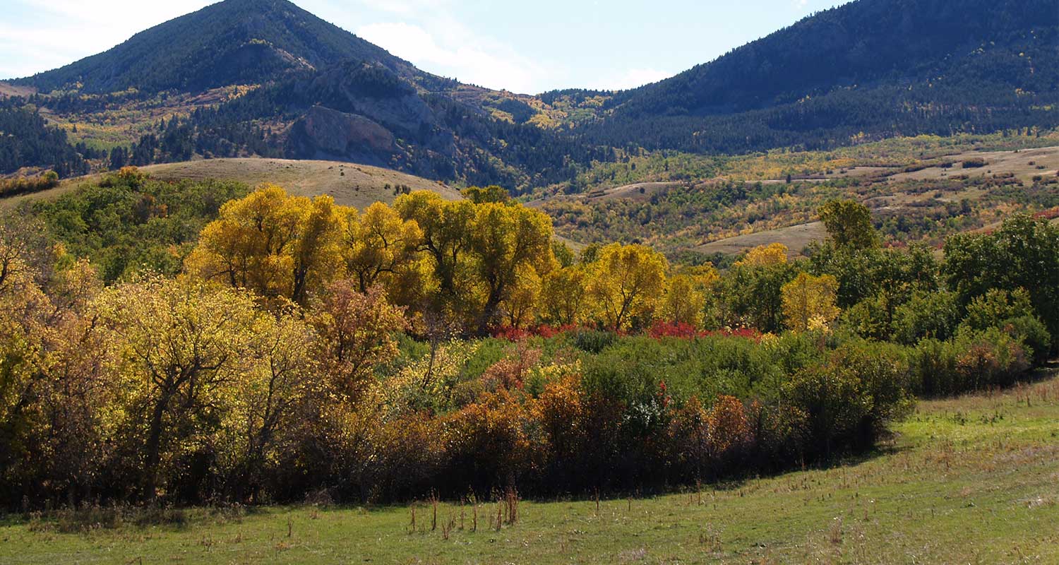 Sheridan Wyoming MLS Real Estate Search and Sheridan Area Information