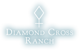 Diamond Cross Ranch