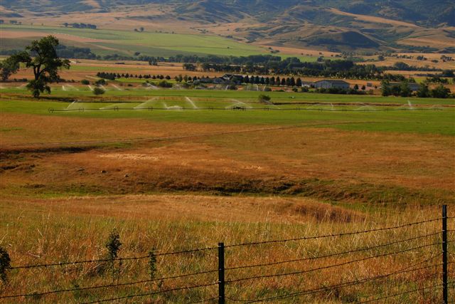 South view meadows