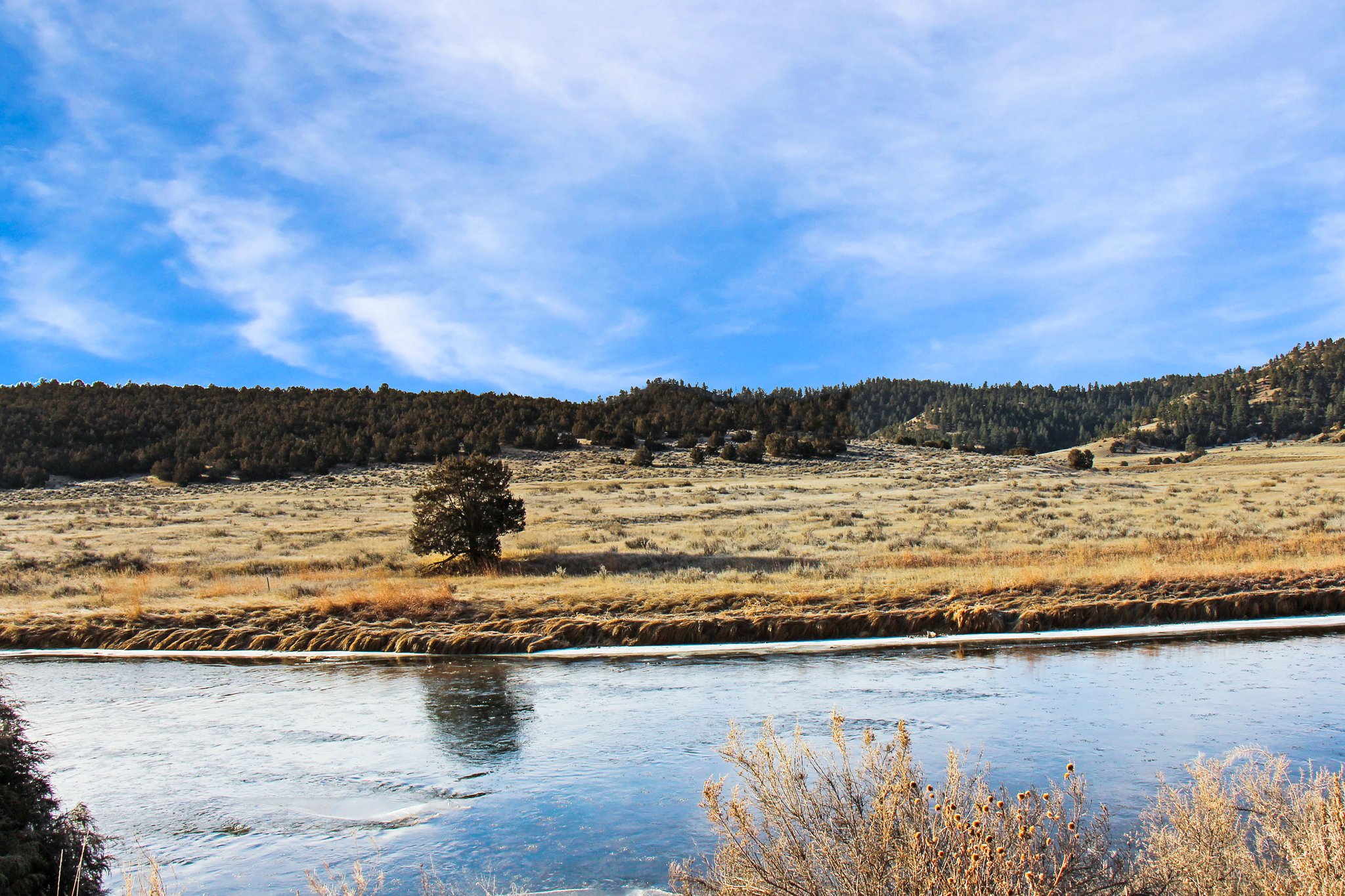 TBD Tongue River Rd., Birney, MT Listing for Sale