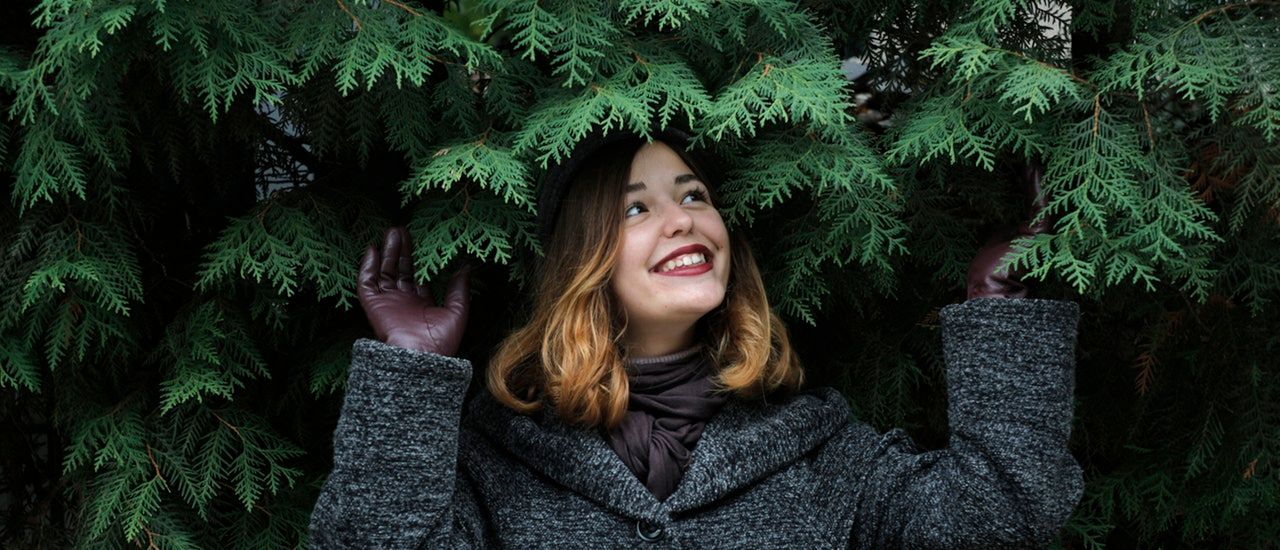 Kansas City Area Christmas Tree Farms