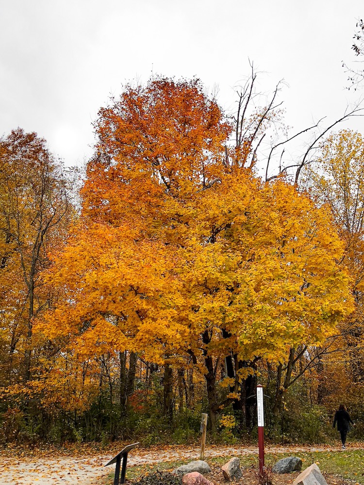 Westfield Indiana parks and recreation