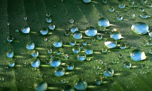 Sell your Maui condo fast