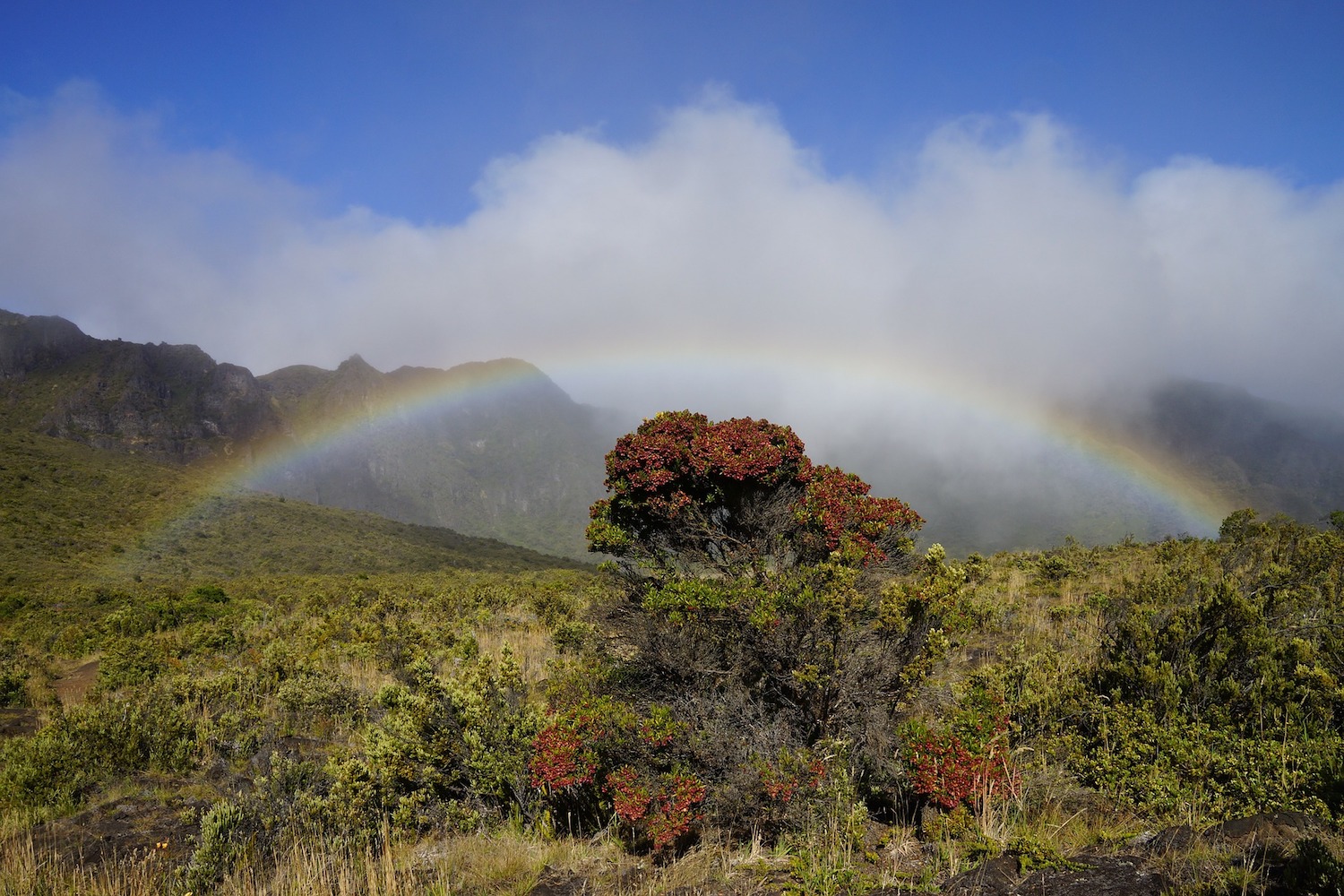 Upcountry Maui Towns of Keokea, Kula, Ulupalakua, Kanaio, Makawao