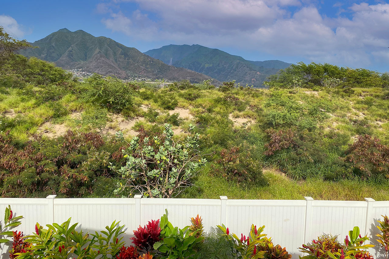 Beautiful mountain views: 