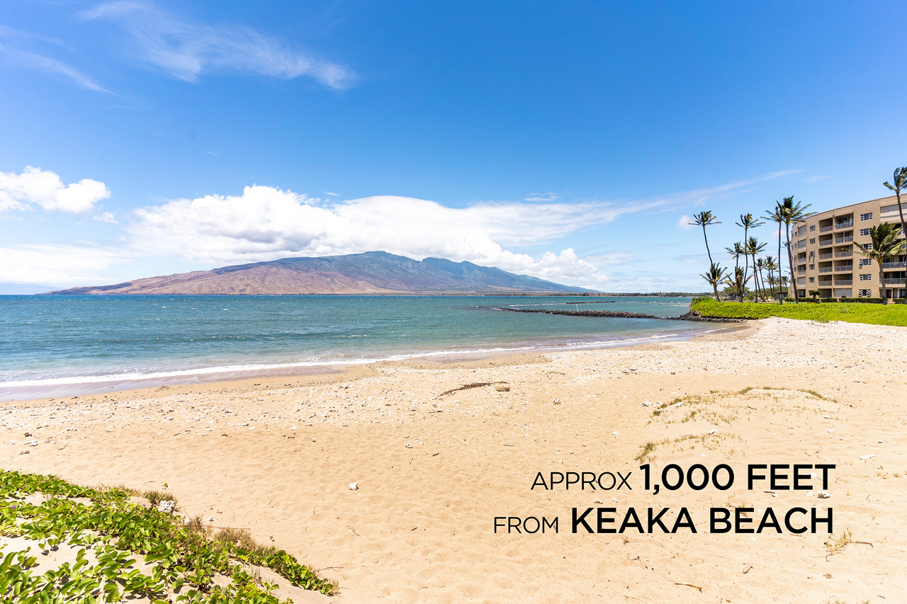 Quick access to the beach: 