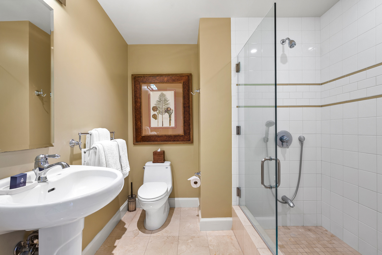 Downstairs Guest Suite: Bathroom