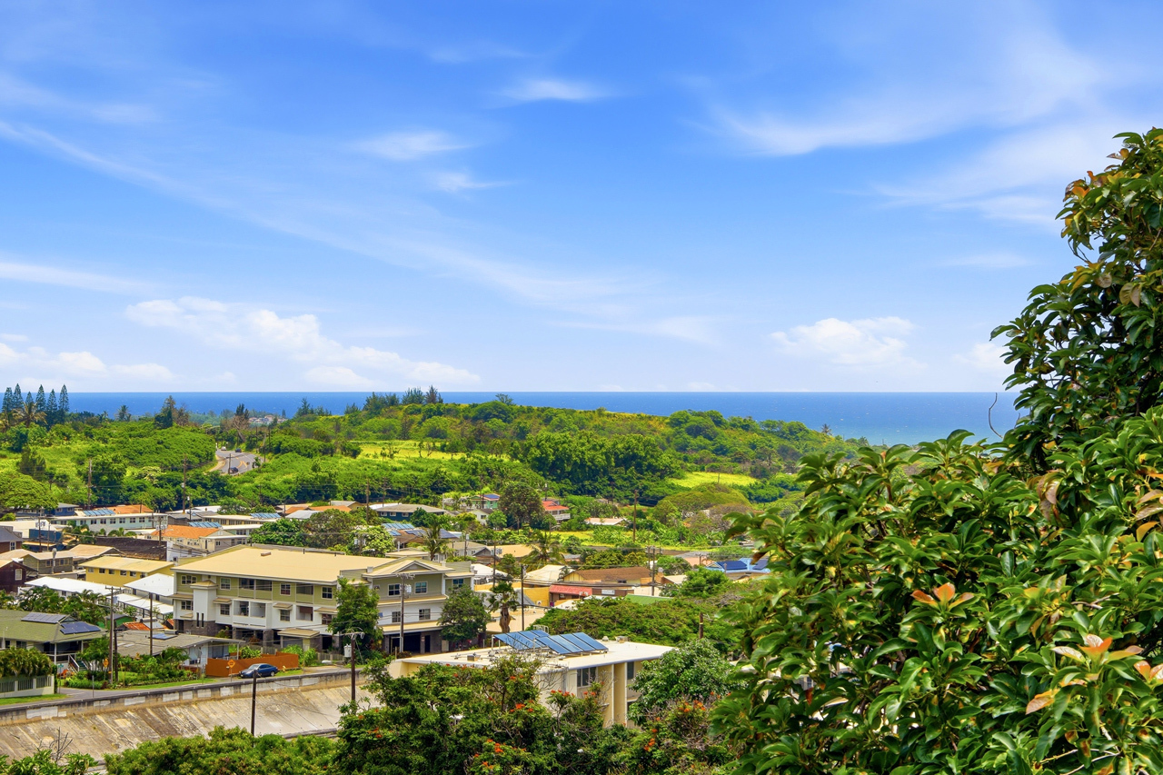 Ocean and Mountain views: 