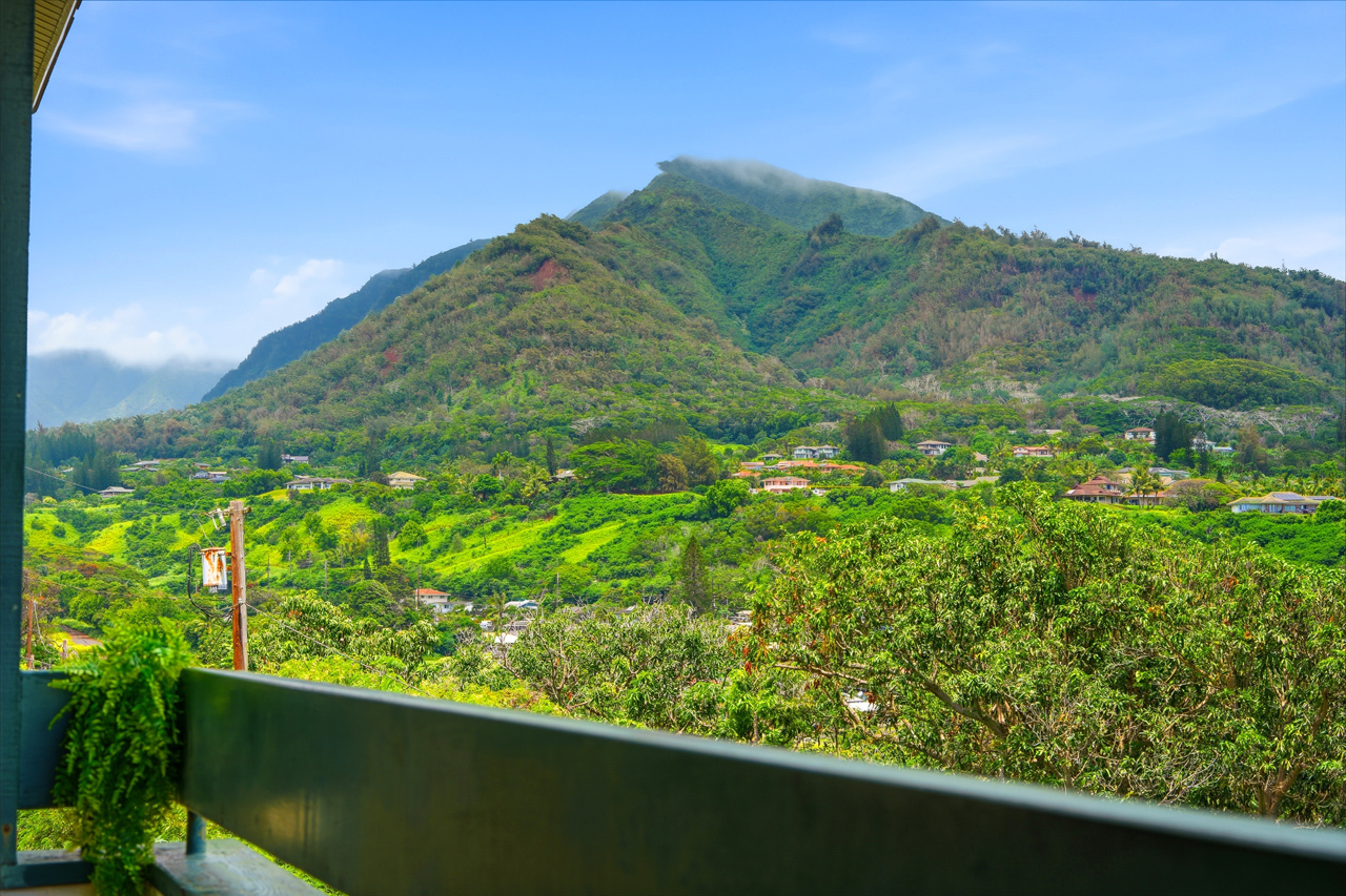 Ocean and Mountain views: 
