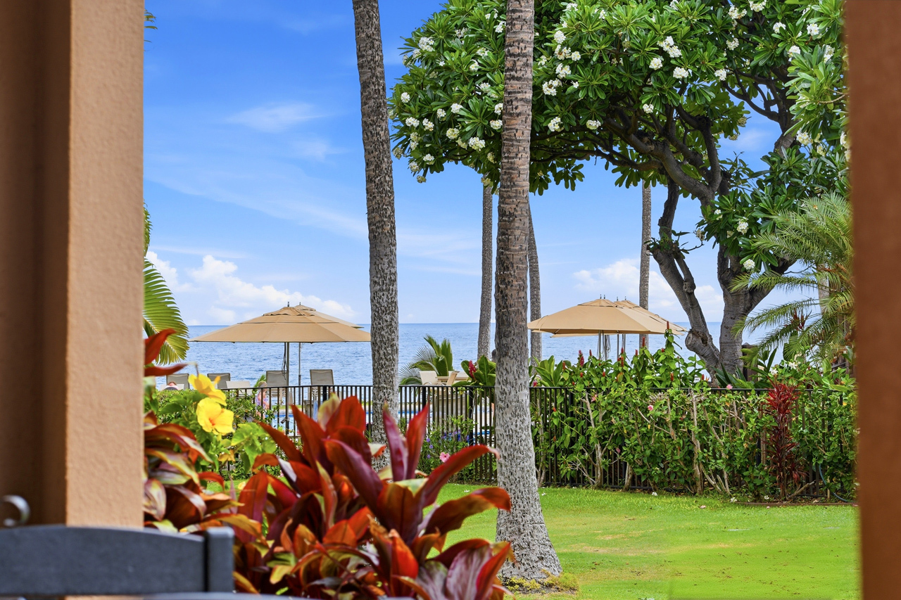 Ocean views: 