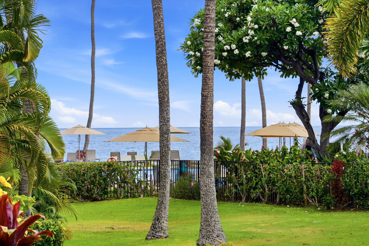 Ocean views: 