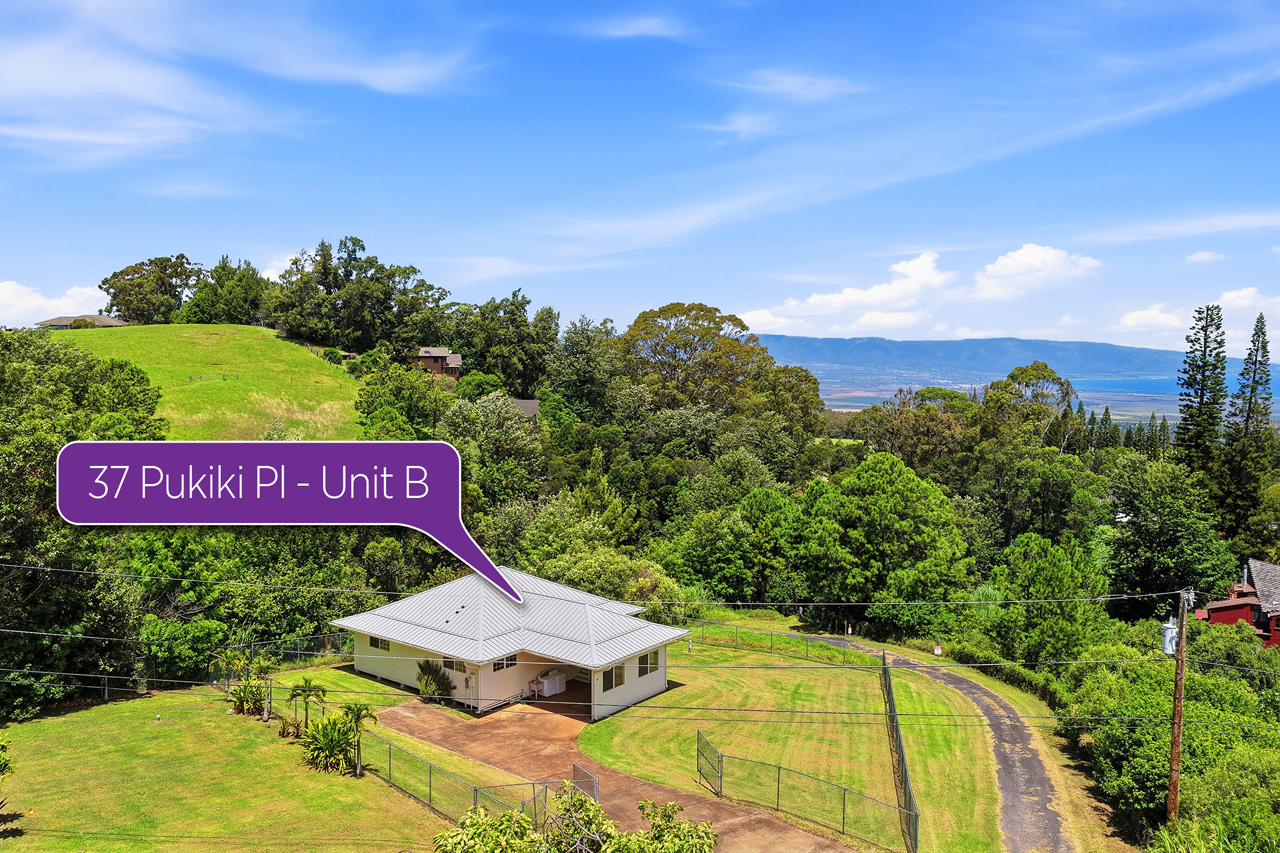 Lush Upcountry setting: 