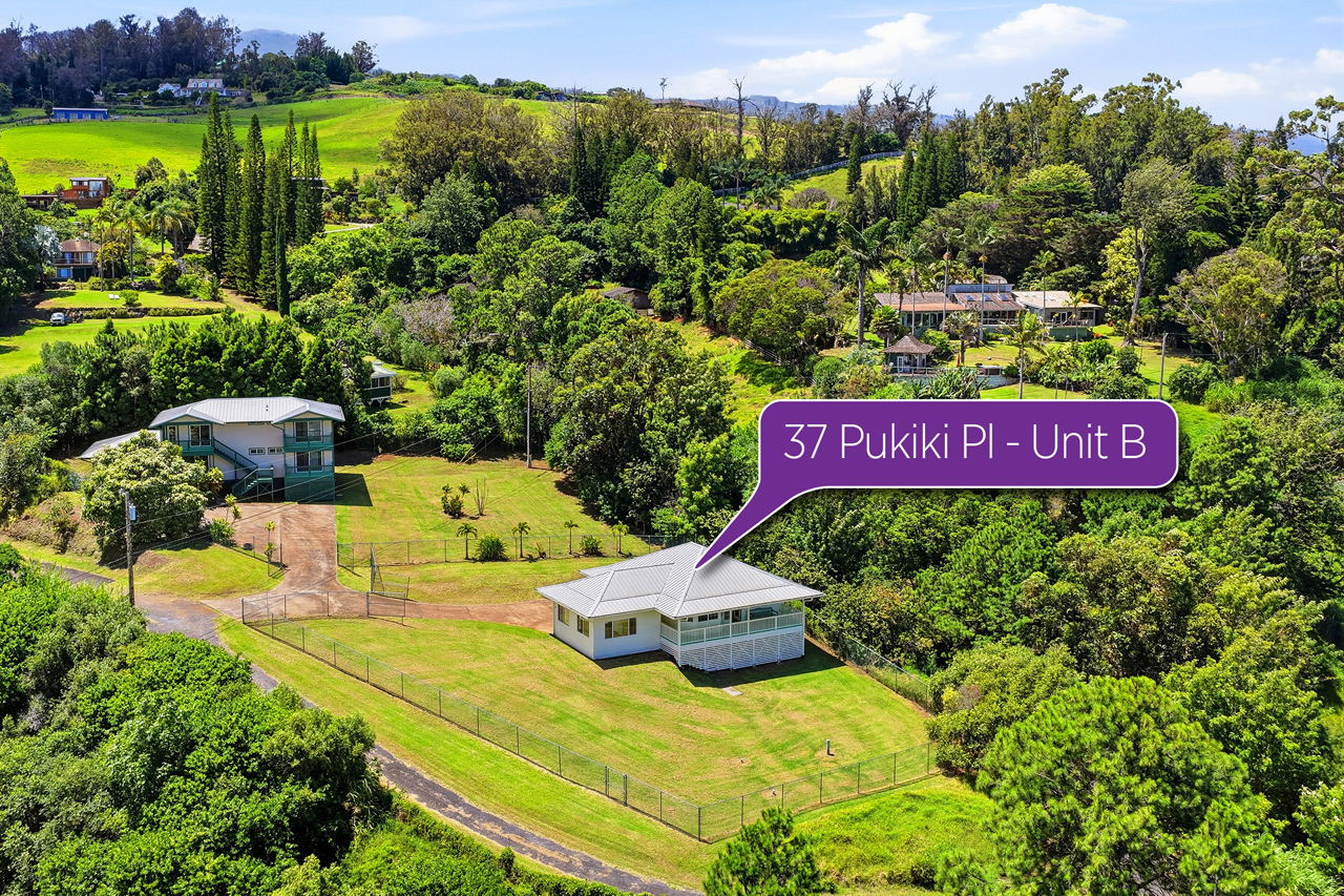 Lush Upcountry setting: 