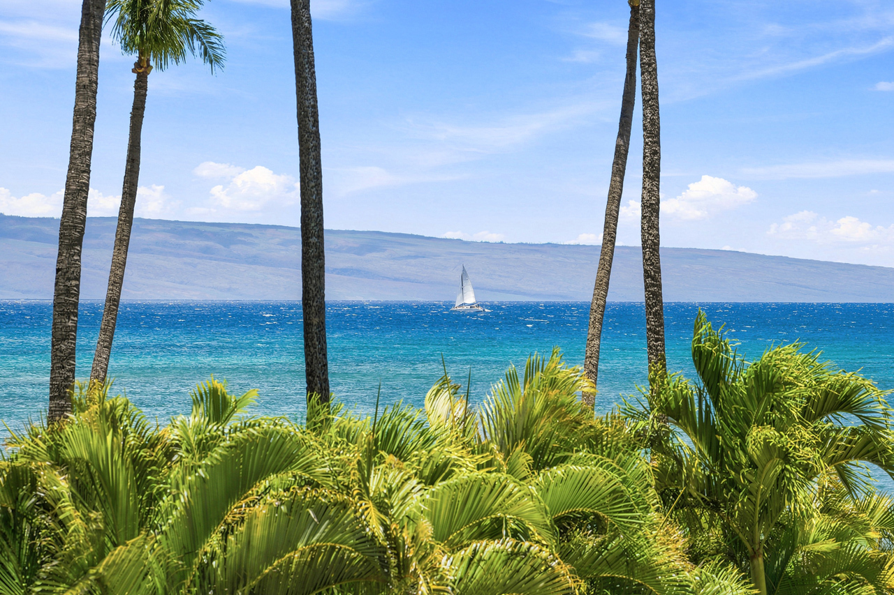 Ocean views: 