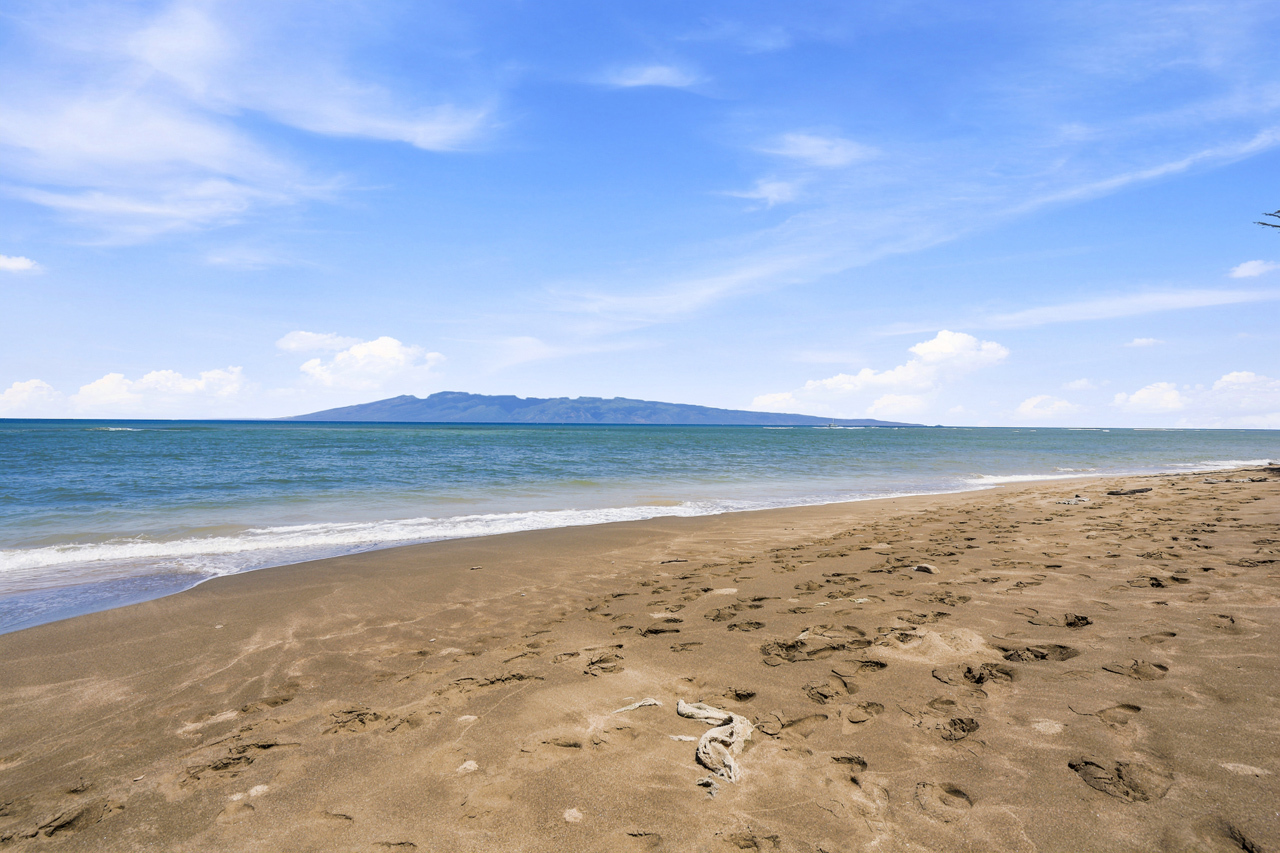 Quick access to the shoreline: 