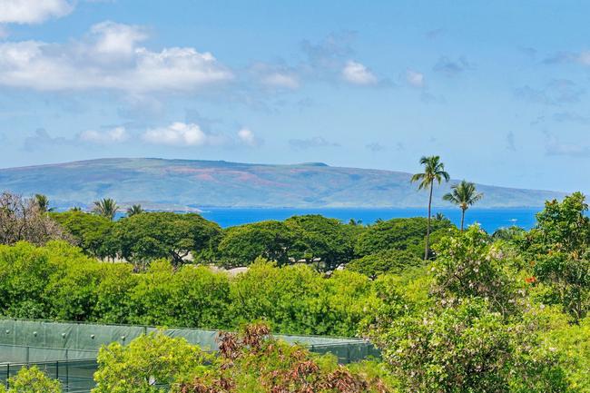155 Wailea Ike Pl, HI 96753