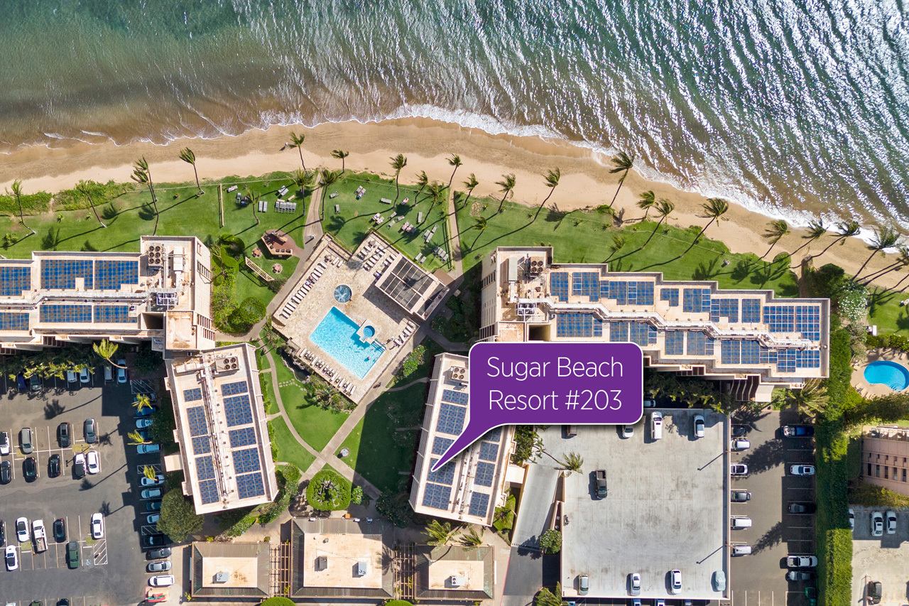 Ideal location with morning sun and afternoon shade: 