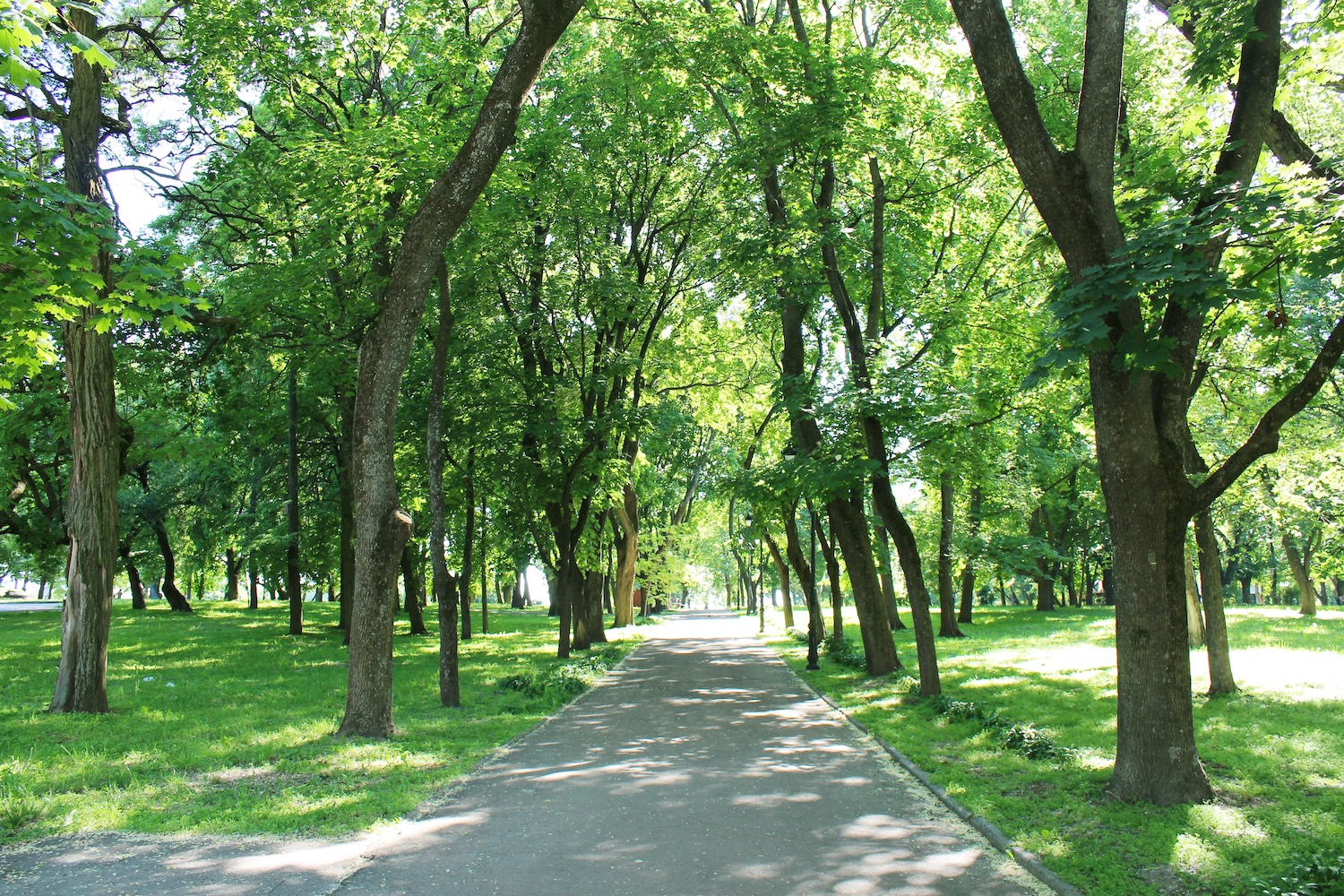 Park
