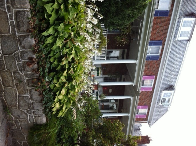Cleveland Park Home