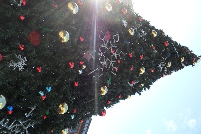 Rockville, MD Holiday Decorations