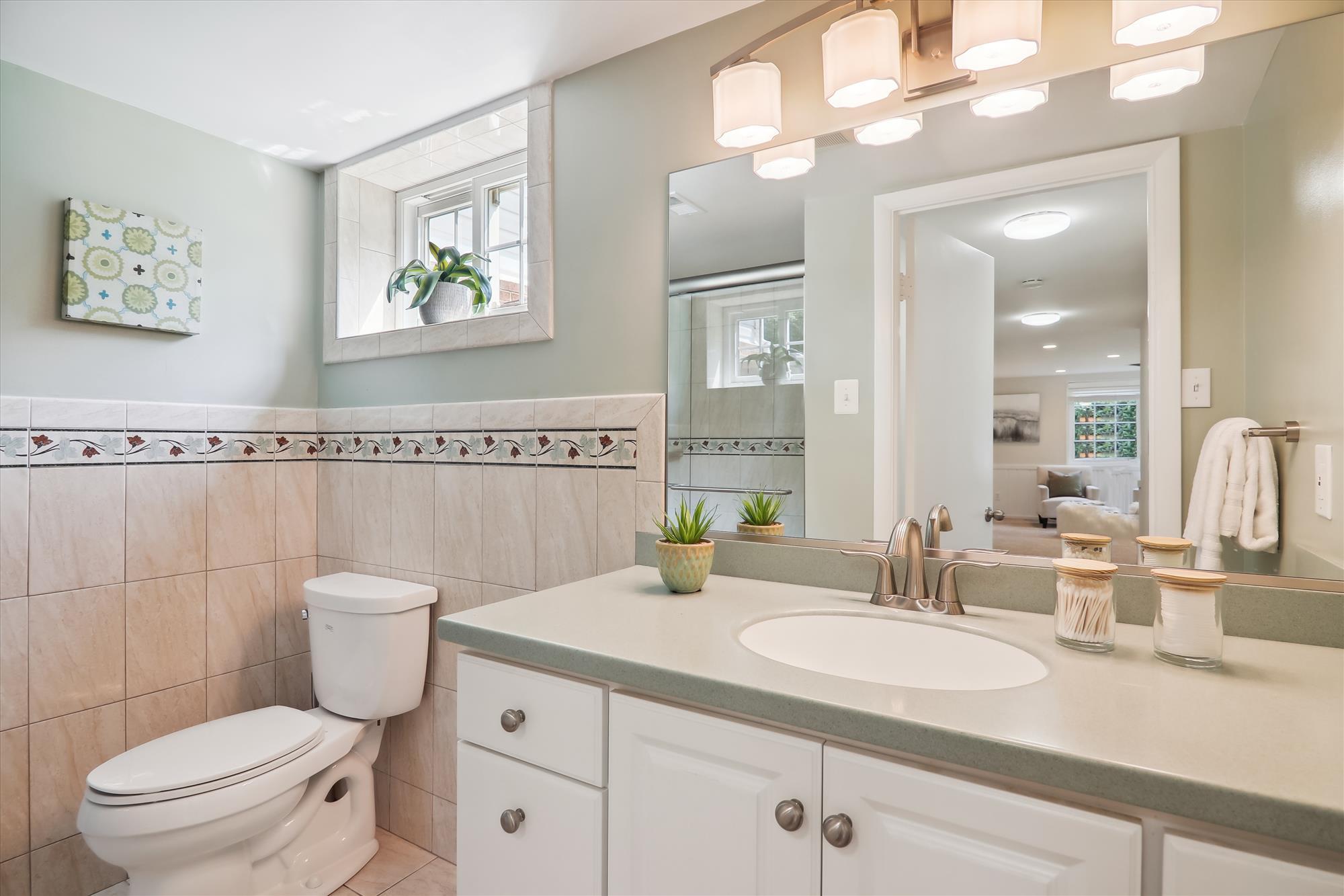 Lower Level - Bathroom