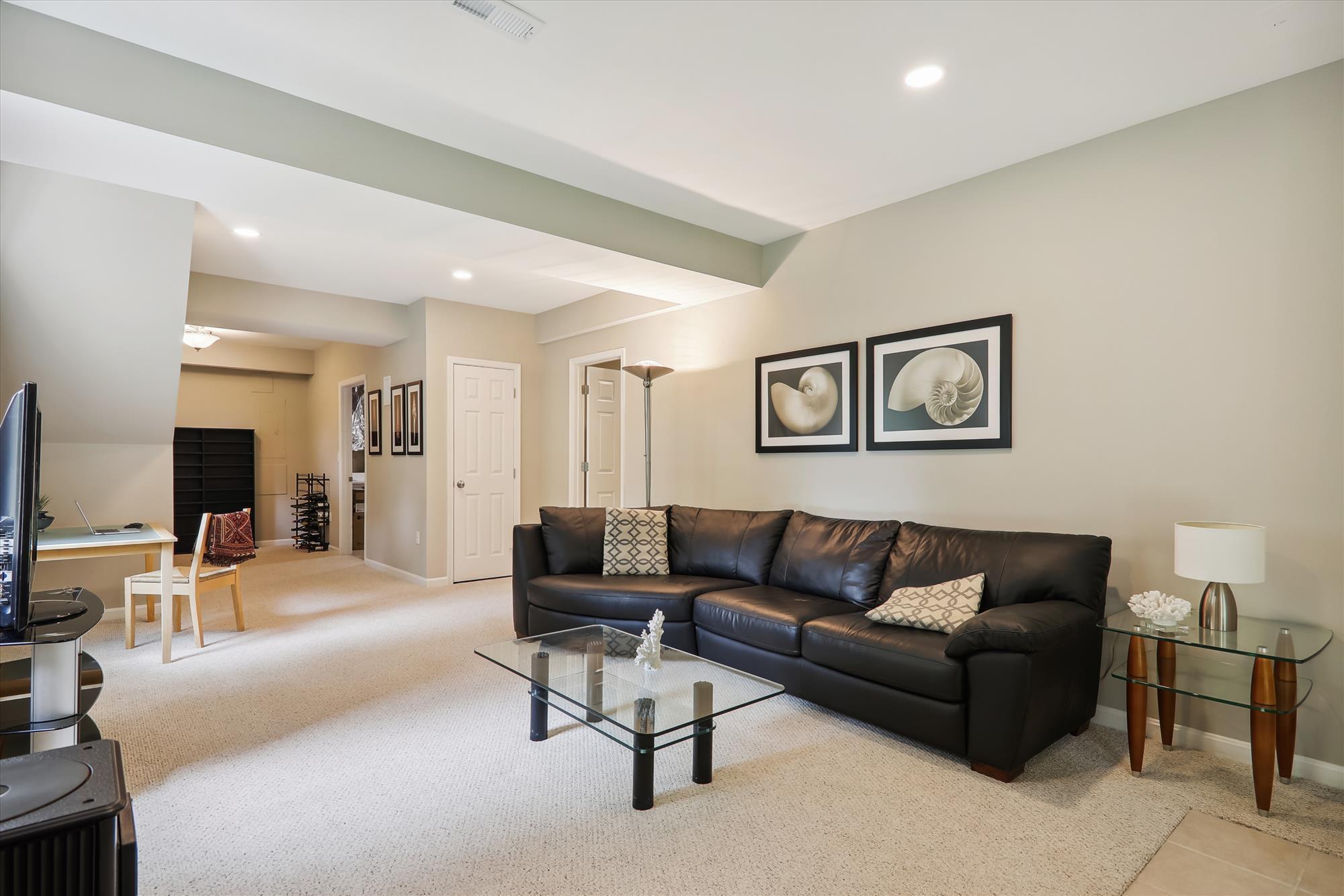 Walk Out Basement - Rec Room