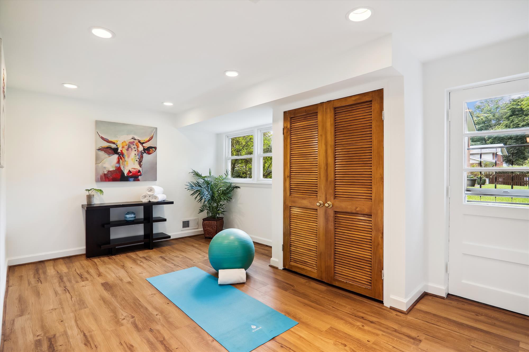 Lower Level - Bedroom